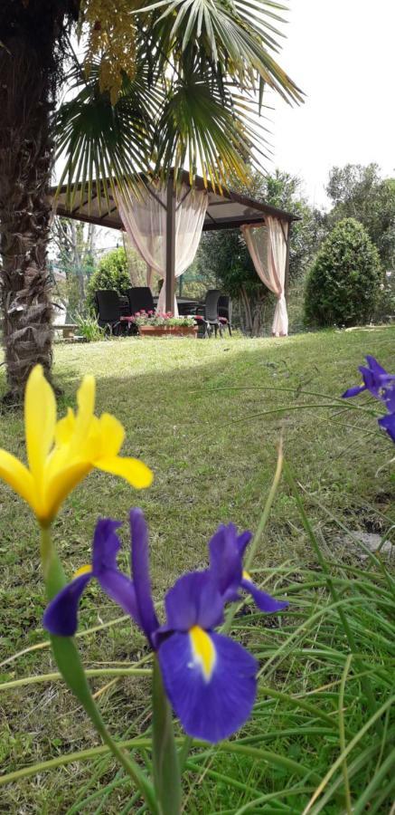 Готель Casa Betania Casa Per Ferie Флоренція Екстер'єр фото